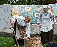 DSC 8447-potatis  Potatisskörden ser inte lovande ut. Bäst ge sig av?