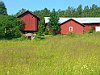 DSC 0862-Västtomta-Xp-800px