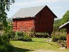 DSC 4669-Nybergs-rosor