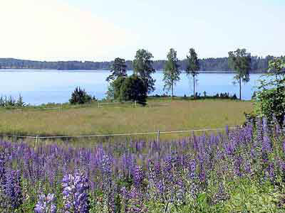 18-BOs-strand-122-400