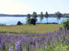 18-BOs-strand-122-400