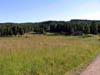 28-Ang-och-skog-0107n91-400px