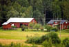 30-Gard-i-skogsbrynet-9808n17-400px